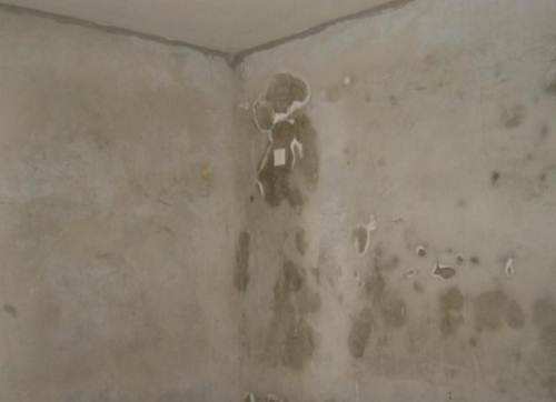 什么是墻面反堿？家中墻體返堿掉皮怎么處理？