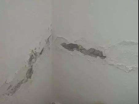 1595497638472656.jpg timg (1).jpg